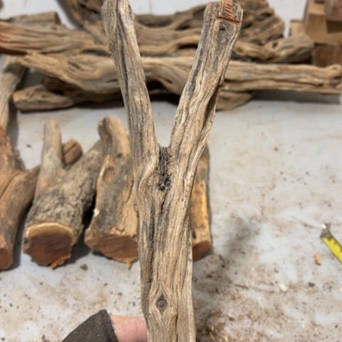 大果紫檀（缅甸花梨）L*e