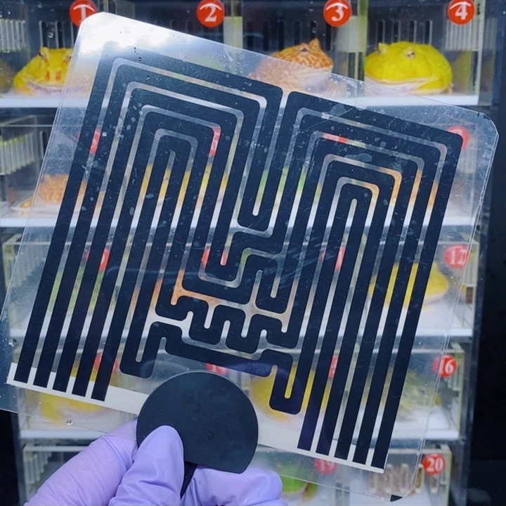 角蛙恭喜发财大吉大利