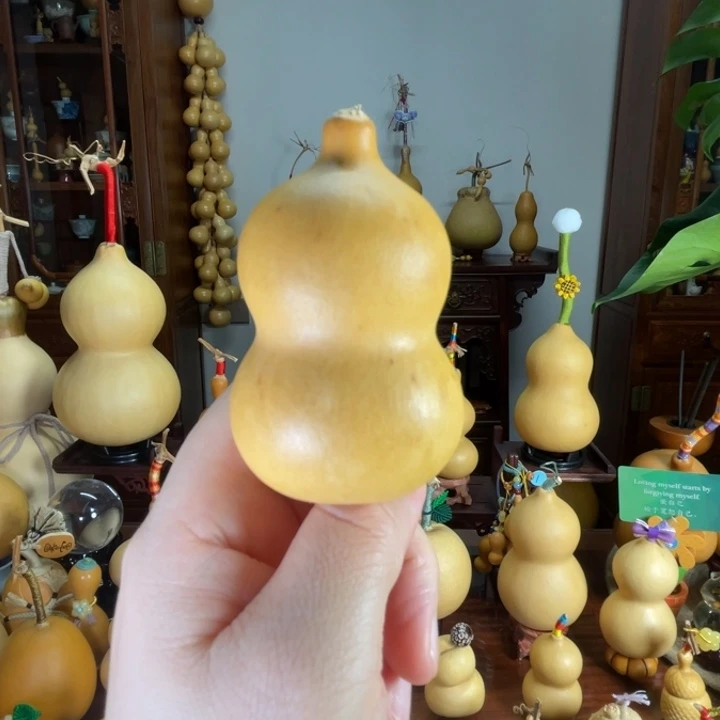 厚皮满籽小胖胖葫芦
