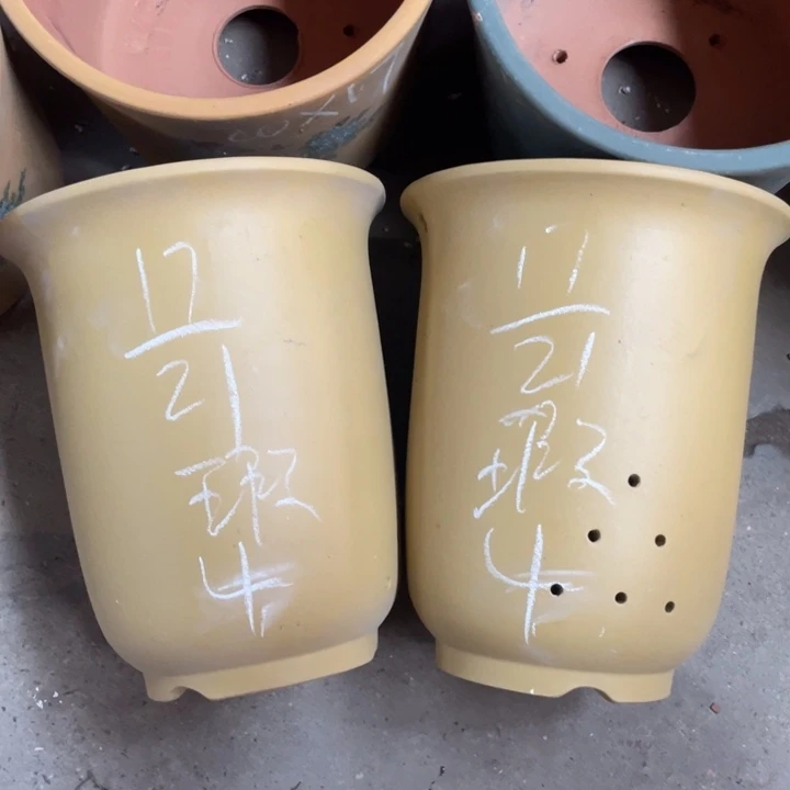 周深周深周深周深周深
