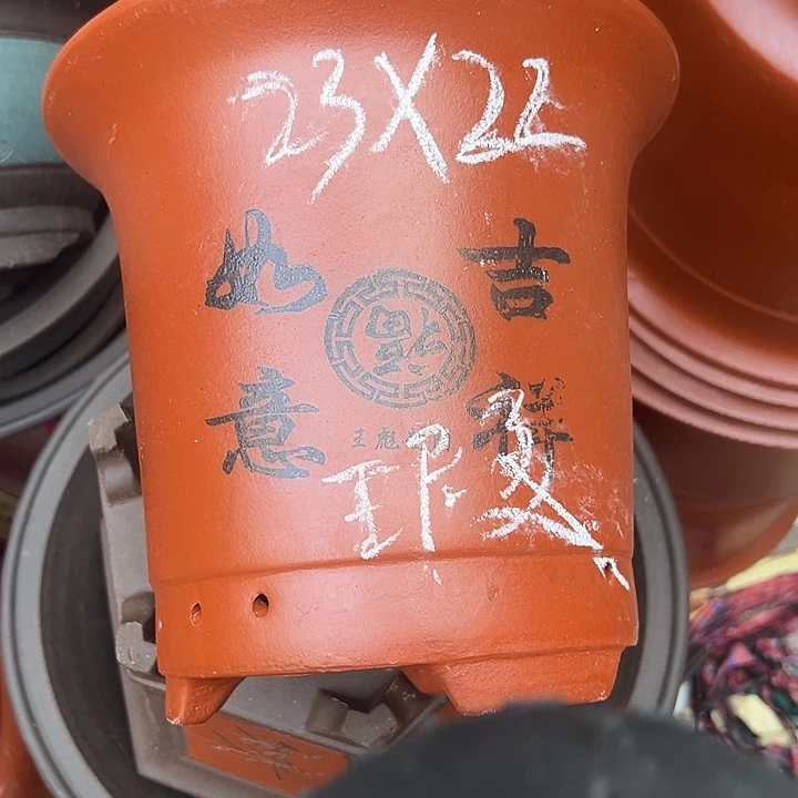 周深周深周深周深