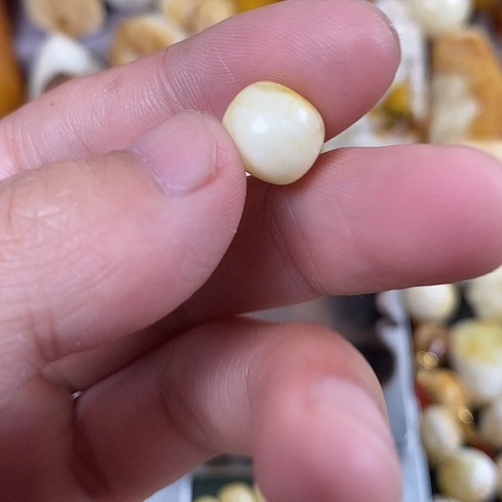 琥珀未镶嵌珠宝奇石我