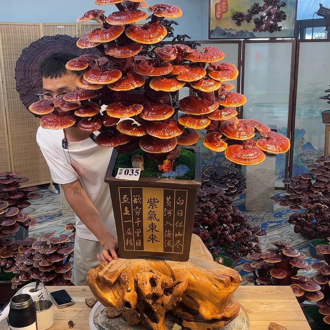 无花朵88888888888