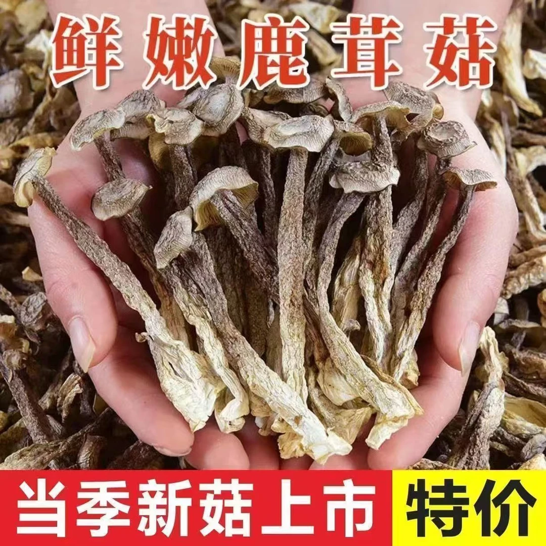 【鹿茸菇干货拍1发4】领2件以上可试吃不满意退回照样退全额30g