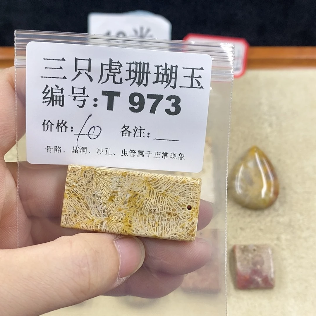 硅化珊瑚（珊瑚玉）1未镶嵌?***小