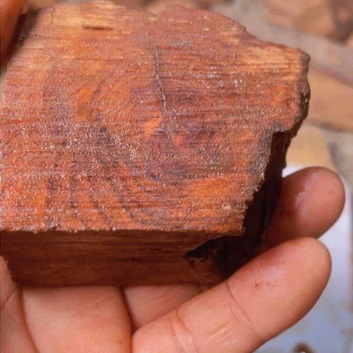 舍*?海南花里肉肉肉肉肉肉肉