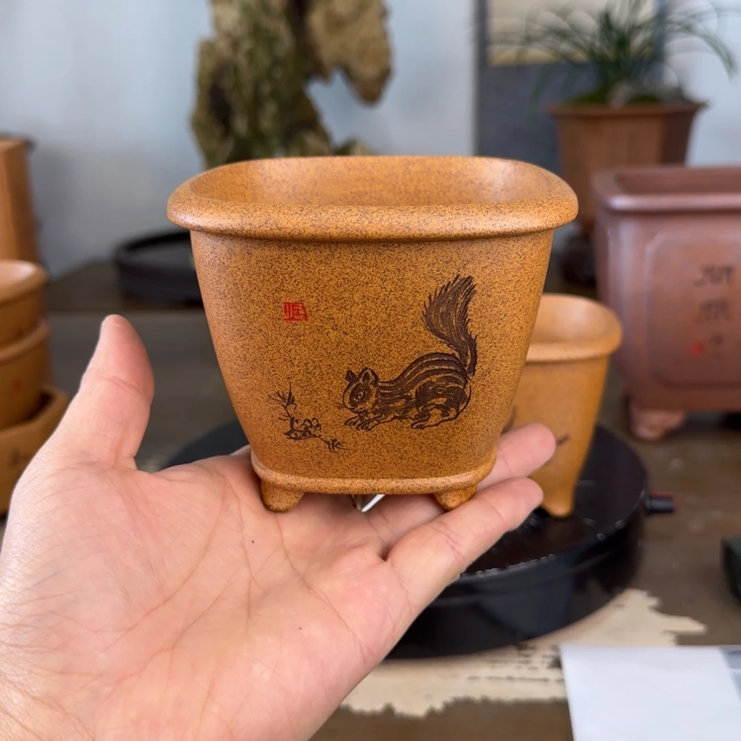 花盆紫砂紫砂花盆