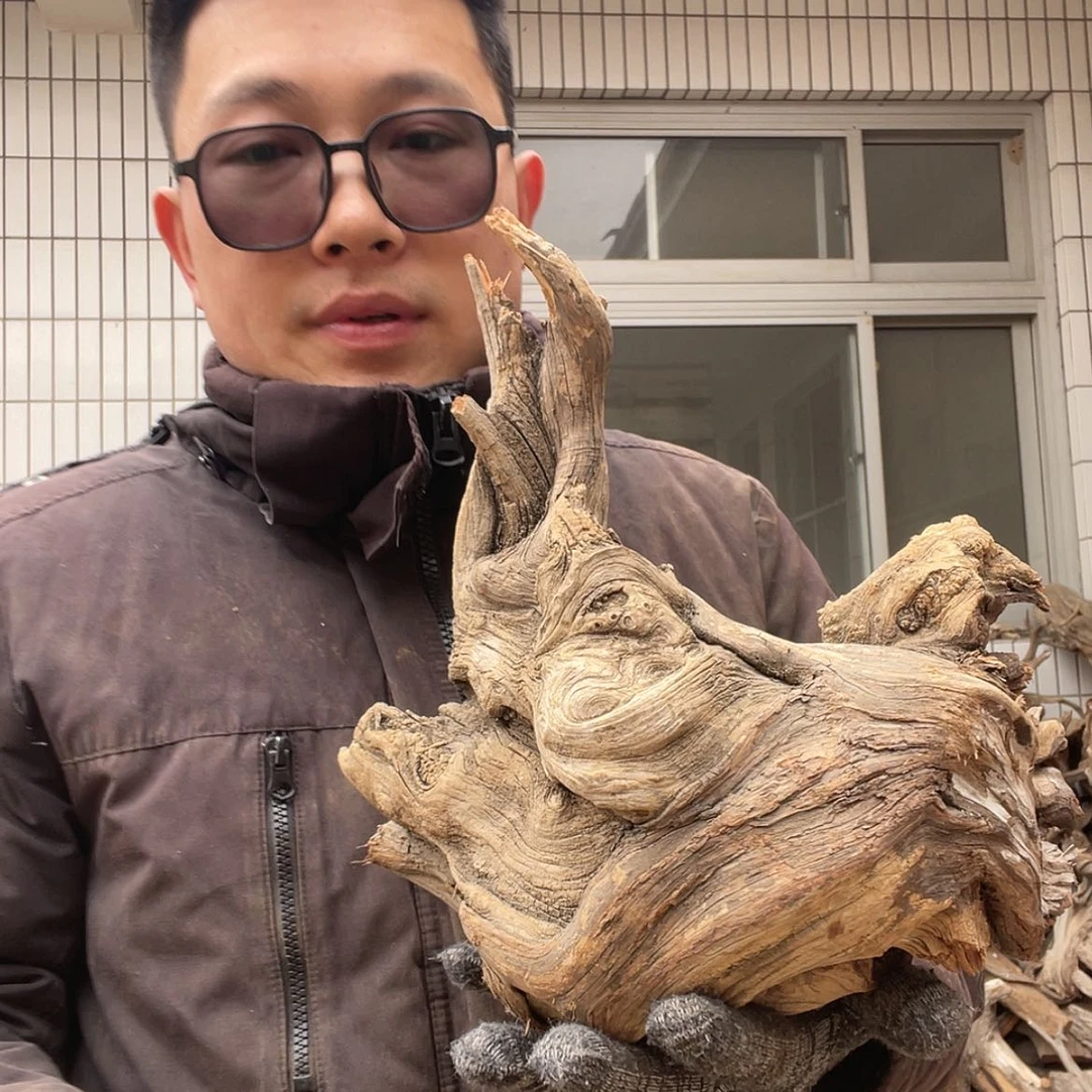【闪购商品】柏木陈*宝啦咯啦咯啦咯啦咯