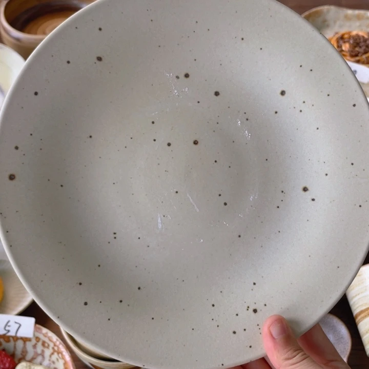 景德镇陶瓷学院副