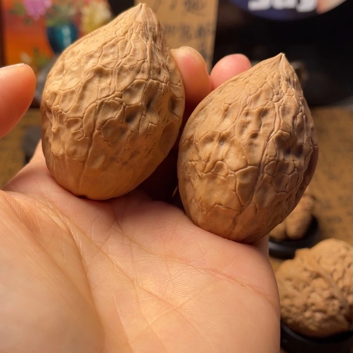 海**鱼云南铁核桃默认微瑕18