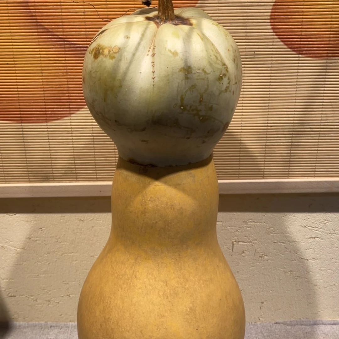 宁***远仿木不包邮不保龙头