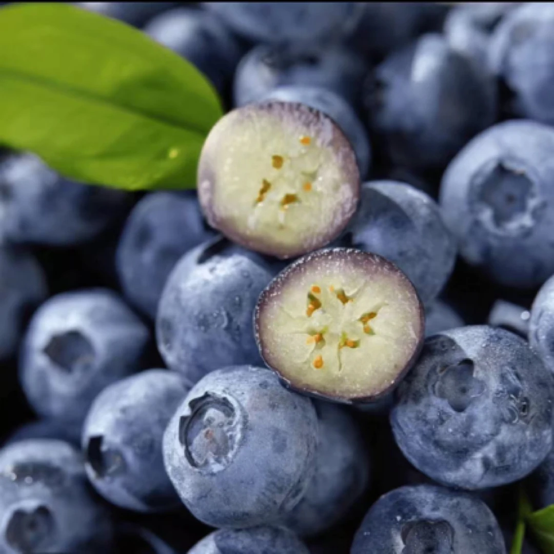 新鲜蓝莓18-22mm 爆汁爽口育婴辅食新鲜采摘100g/盒 发8盒