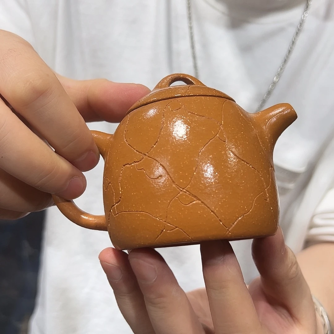 茶壶紫砂紫砂壶紫砂茶宠茶叶罐
