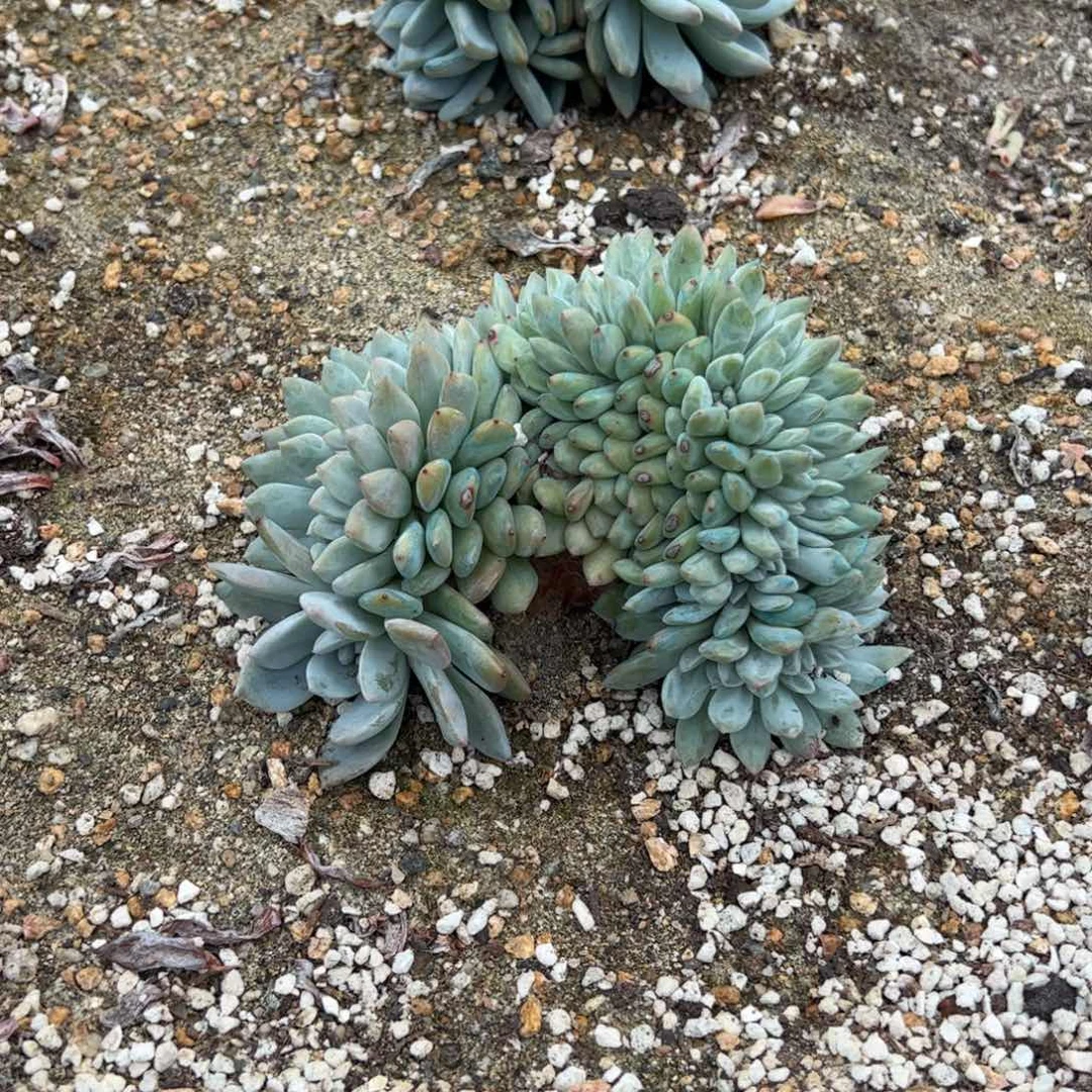 地地道道的点点滴滴