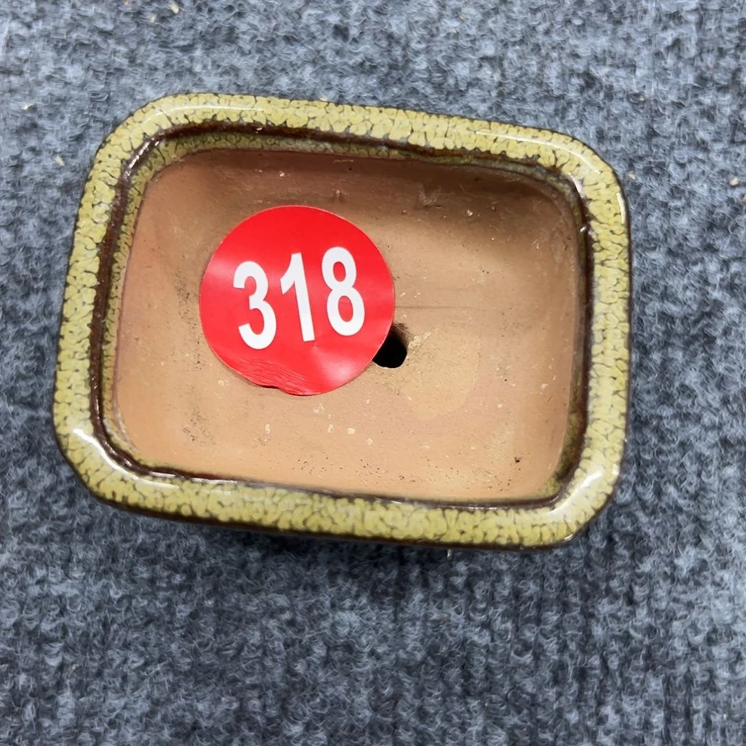 用****8对你的喜欢就如同这日子只增不减318