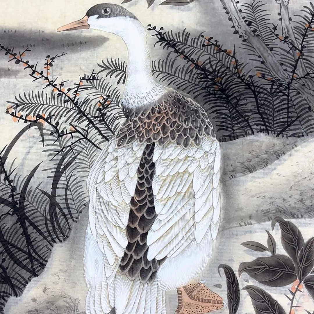 国画国画老师作品