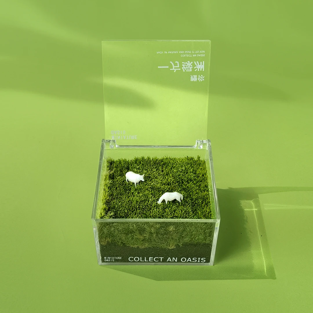 赠你一片绿植草坪私人绿植草坪苔藓微景观植物盆栽创意生日礼物