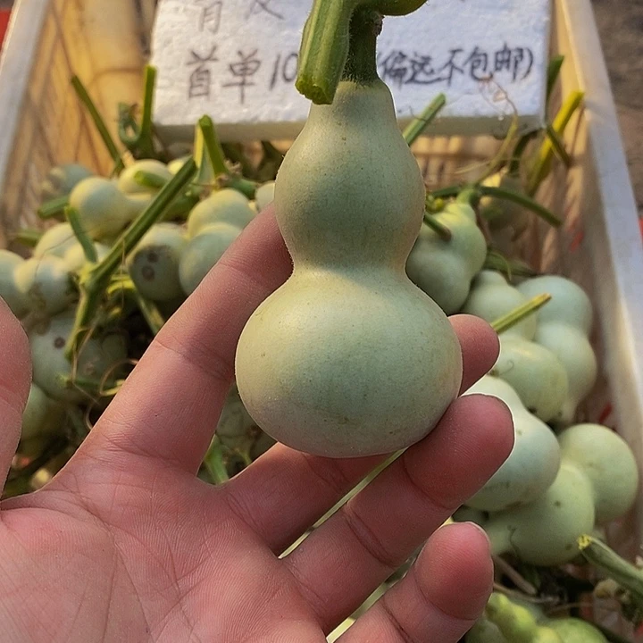 岁***逝h h h h h h h h h h j