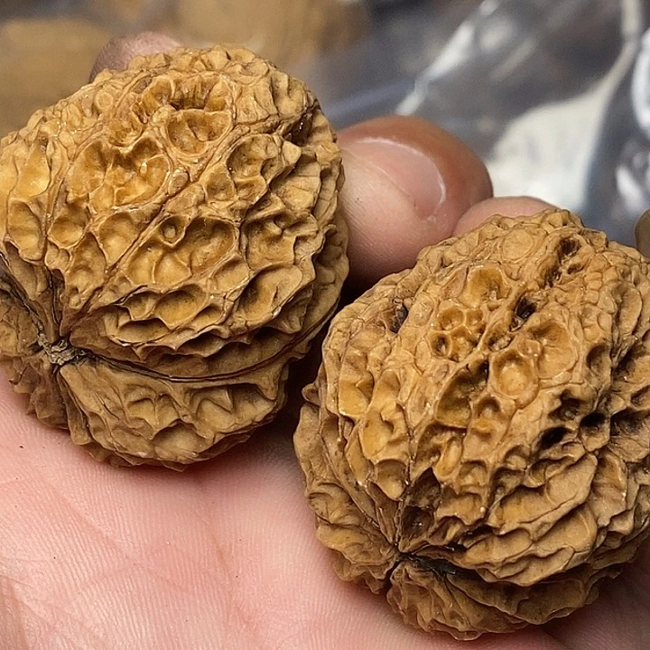 文玩核桃把件云南铁核桃41