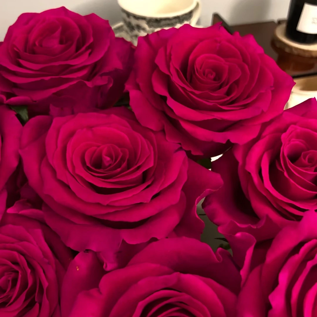 高盛玫瑰（买十支送十支）