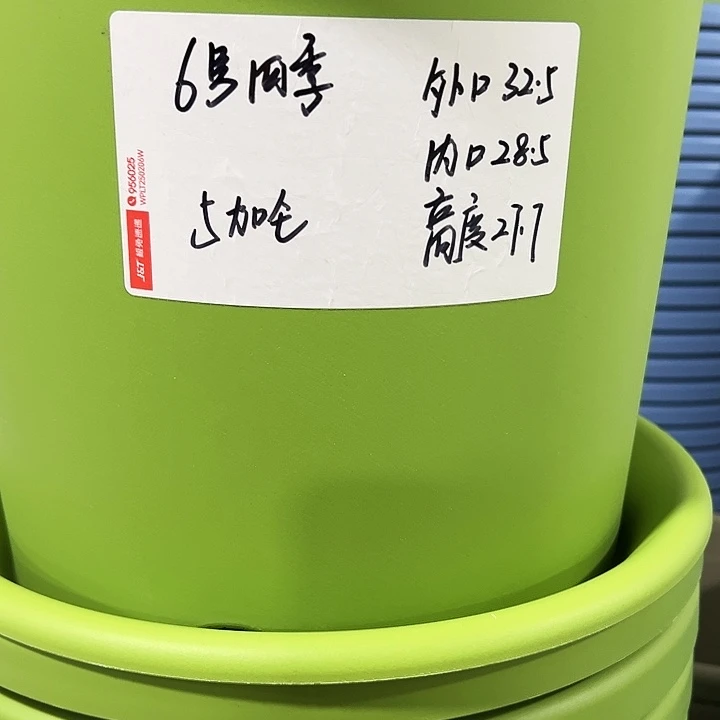 特价6号口32.5高27白色5只带托