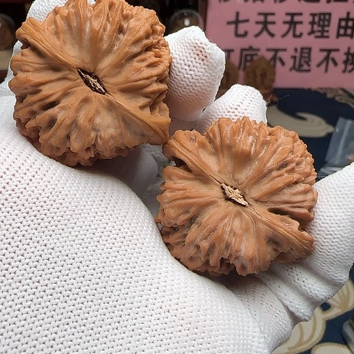 桃核吊坠全品赵喜满41尺