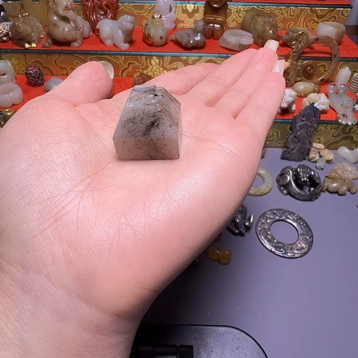 臻***籍小动物。。。。。。。。。。。