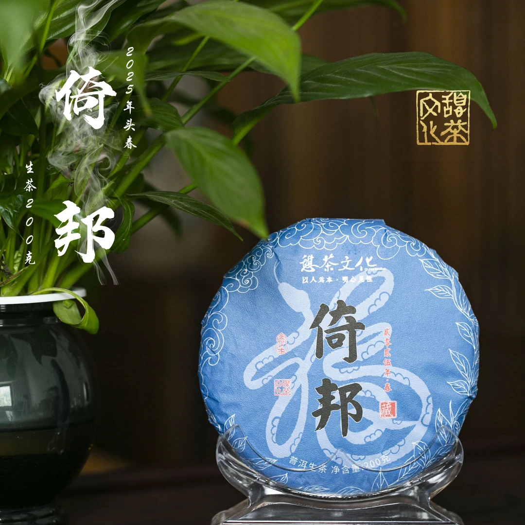 2025年 倚邦 古六山 古树头春 普洱生茶 200g*1饼