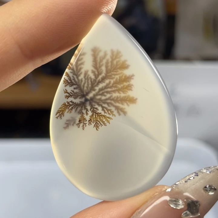 玛瑙/玉髓玛瑙象形未镶嵌