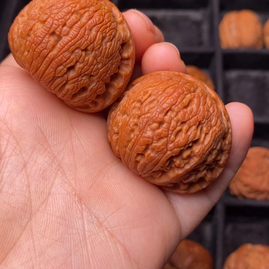 文玩核桃把件秦岭野生核桃