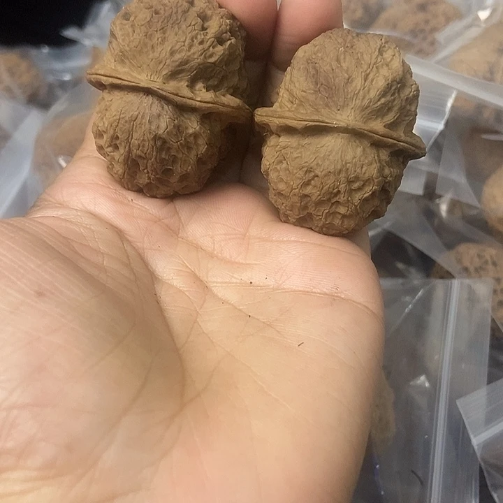 文玩核桃把件云南铁核桃基地6