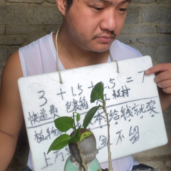 退款拉黑一物一拍192