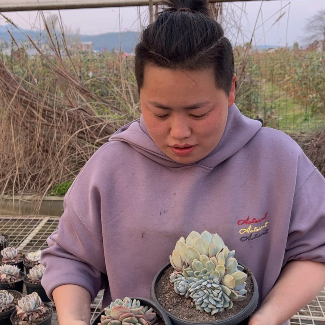 天*@一物一拍3颗组58元