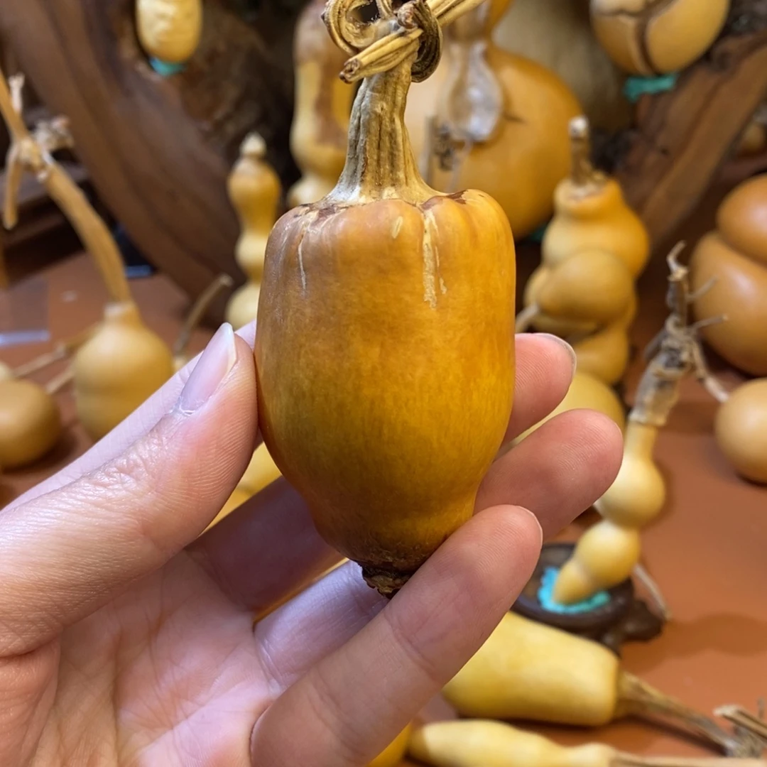教练教练教练咯哦咯