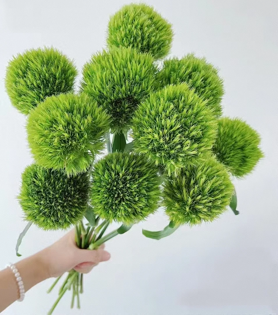 套餐54 绿色石竹花5支+白色单瓣紫罗兰一把