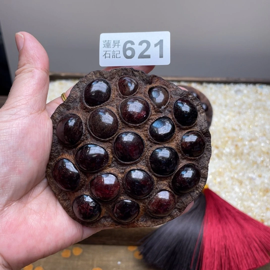 核桃木/黑胡桃（胡桃木）喵****n621