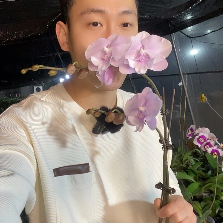 无花朵1400双剑带花