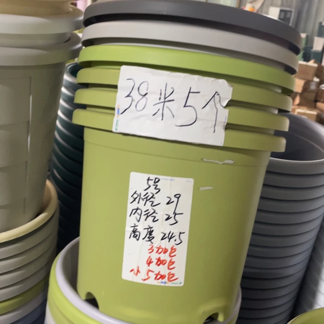 微瑕5#无拖果绿6个