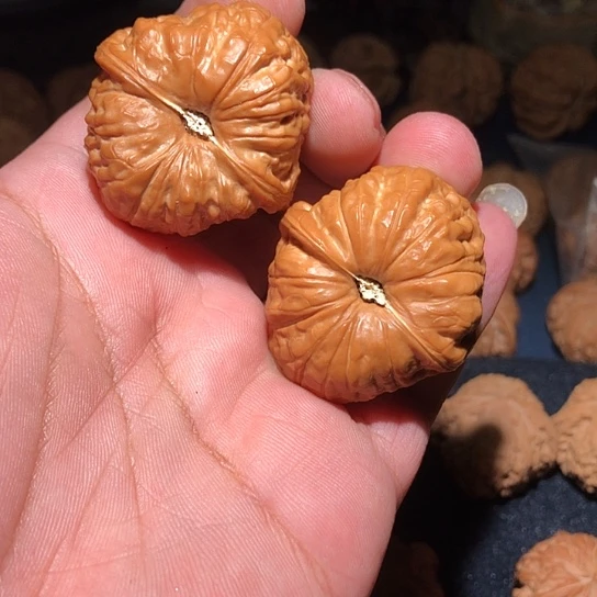 木41精品全品南瓜墩