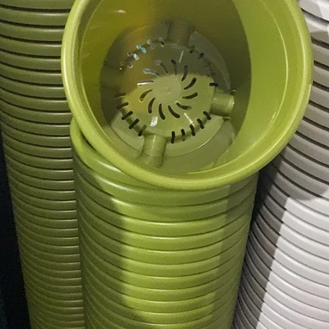 树脂四季4号果绿无托8个