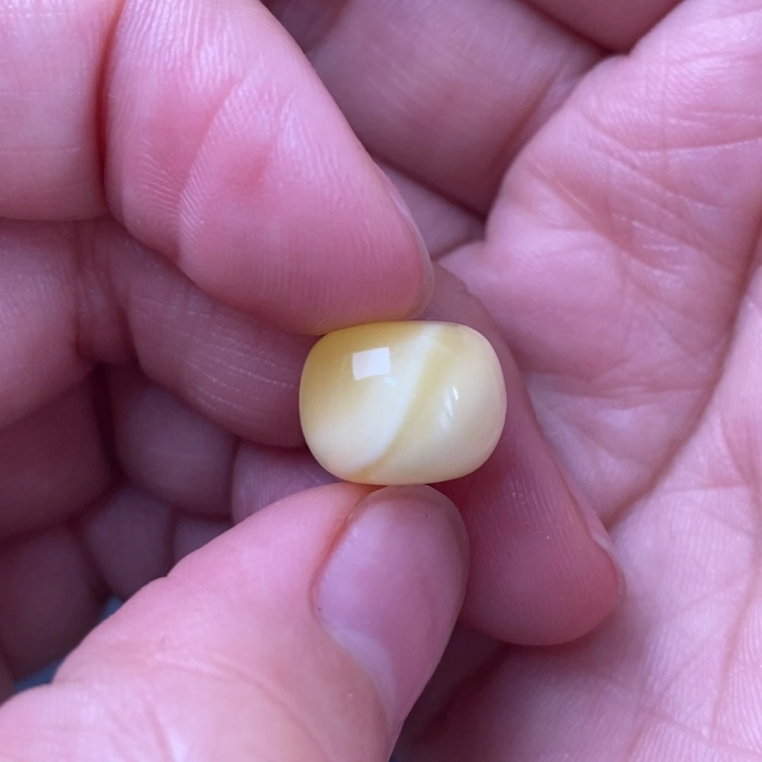 琥珀裸石未镶嵌蜜蜡2