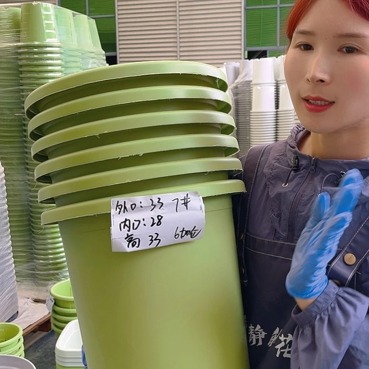 四季盆7#果绿色5个无托