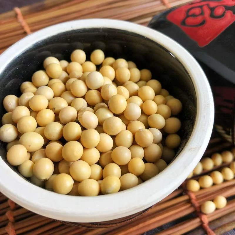 【助农山货】云南高山黄豆农家自种打豆浆做豆腐