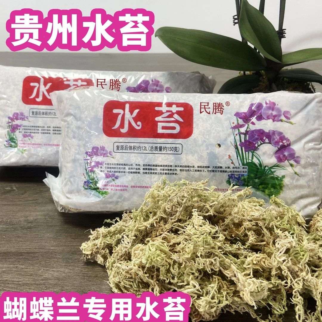 水苔兰花蝴蝶兰专用多肉种植养护营养土园艺栽培干水苔苔藓青苔