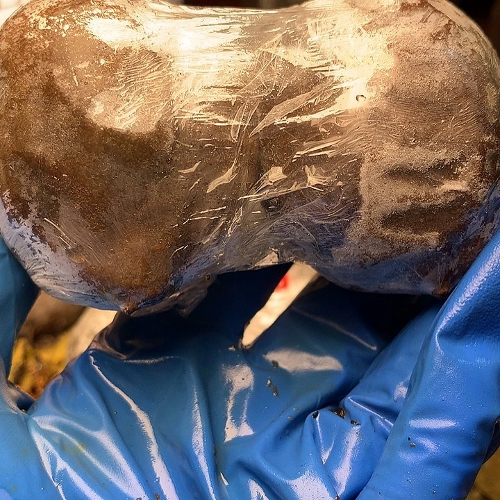 ^***^大叶紫檀（黑酸枝木类）