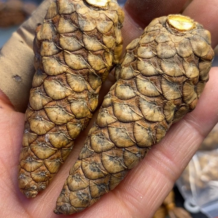 桃核吊坠拿姐工艺155