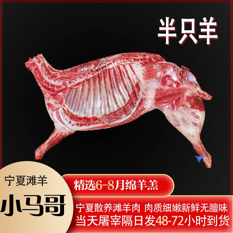 宁夏滩羊5-10斤【半羊、羊后腿、羊排】整扇20%腿排不膻不腥