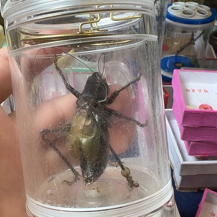 布***丁哈哈哈哈哈哈哈哈哈