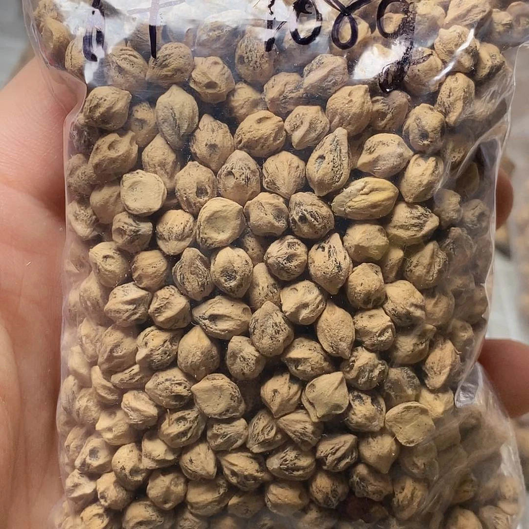 柏香籽/百香籽吊坠