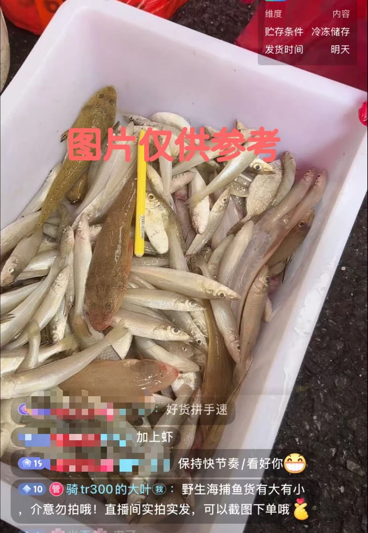 【杰哥代购】野生海捕杂鱼1号